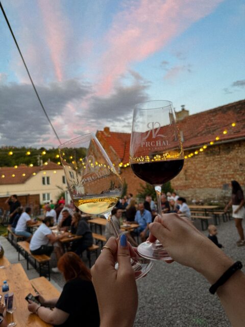 První foto/video vlaštovka z našeho otevřeného sklepa.🍷 Ještě teď se z toho skvělého víkendu vzpamatováváme! 😊❤️ 
Děkujeme @muzikanti_na_tripu za naprosto famózní páteční párty 🎺💃🏼, @pavel_vintrlik_official za to, že jsme si s ním v sobotu mohli u kytary a saxíku zazpívat🎷, Peťovi a jeho dreamteamu za skvělé menu😋…
…a především DĚKUJEME VÁM všem! ❤️ Za to, že jste přišli, ochutnávali 🍷, pařili, zpívali, smáli se a celé jste si to s námi užili! Moc si toho vážíme! ☺️🫶🏼
#vinarstviprchal #letniotevrenysklep